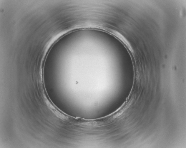 X0000060261388200511112010