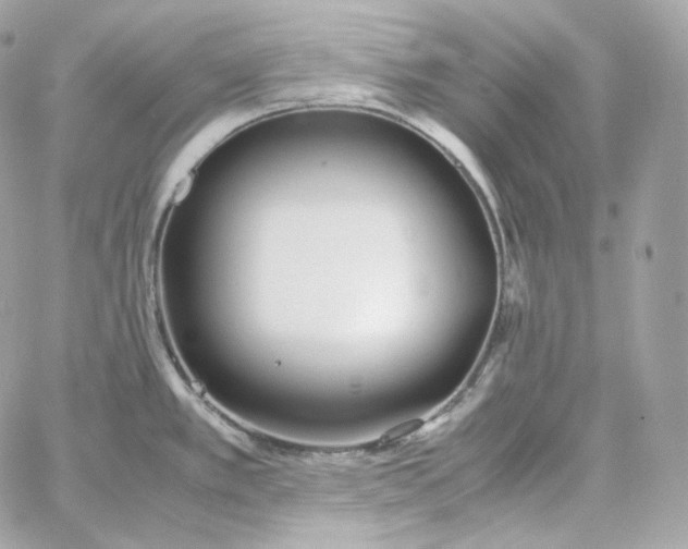 X0000060261389200511112010