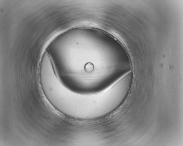 X0000060261392200511112010