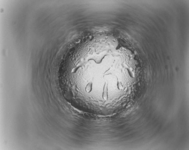 X0000060261393200511112009