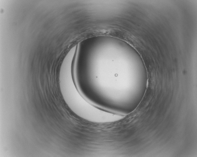 X0000060261394200511112009