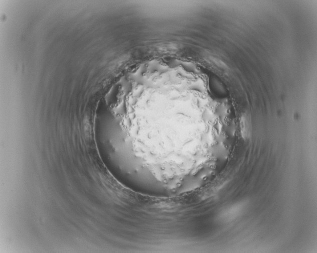 X0000060261395200511112009