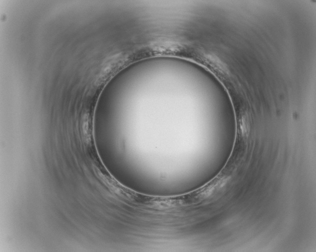 X0000060261396200511112009