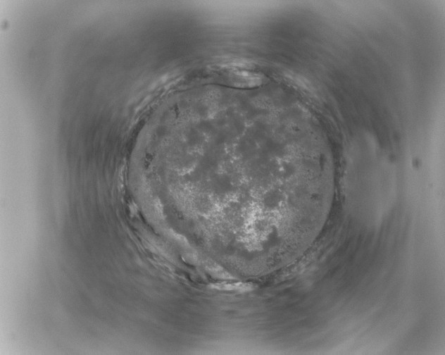 X0000060261397200511112009