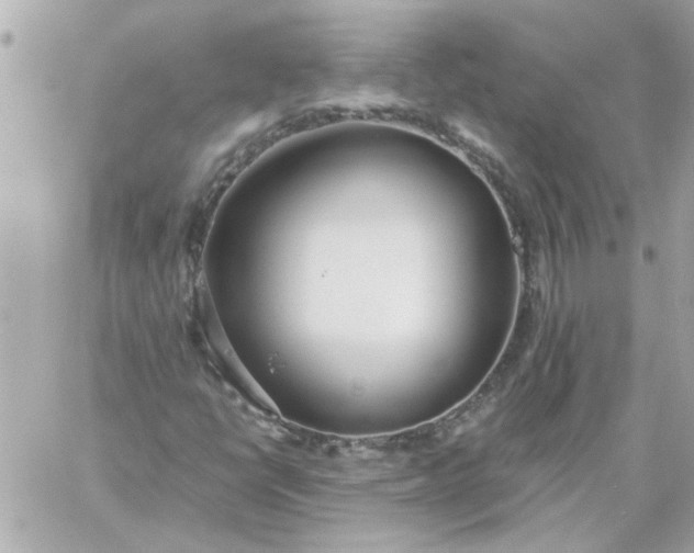 X0000060261398200511112009