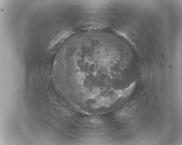 X0000060261399200511112009