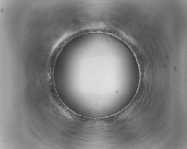 X0000060261400200511112009