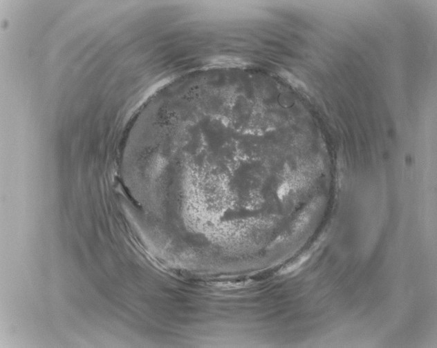 X0000060261401200511112009