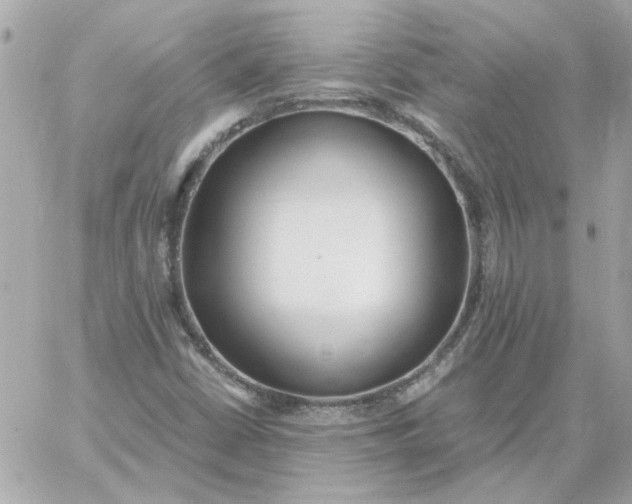 X0000060261402200511112009