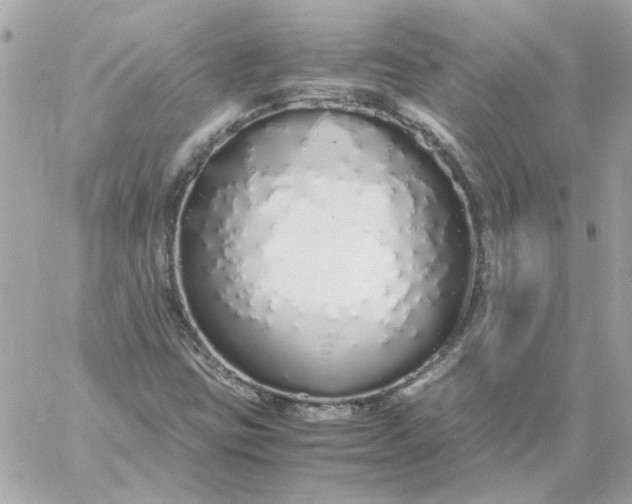 X0000060261403200511112009