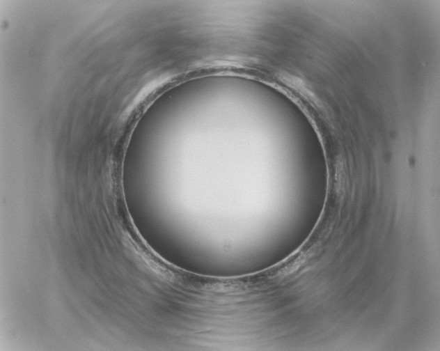 X0000060261404200511112009