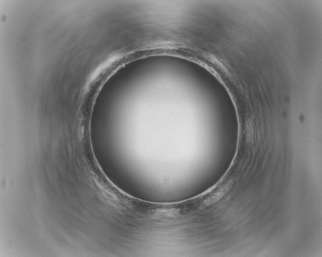 X0000060261406200511112009