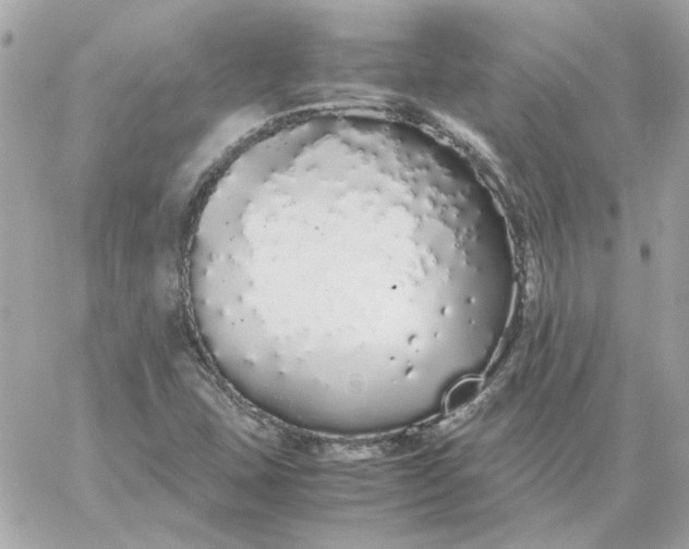 X0000060261407200511112009