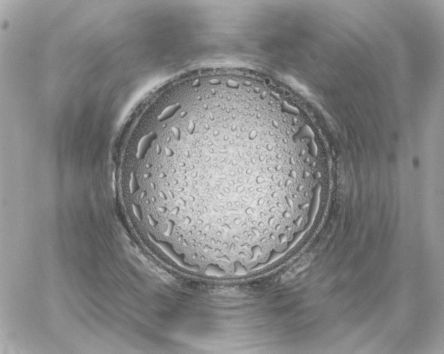 X0000060261408200511112009