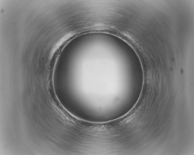 X0000060261410200511112009