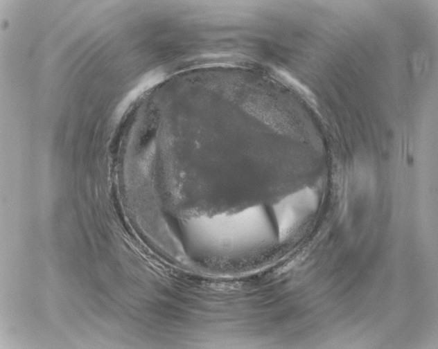 X0000060261411200511112009