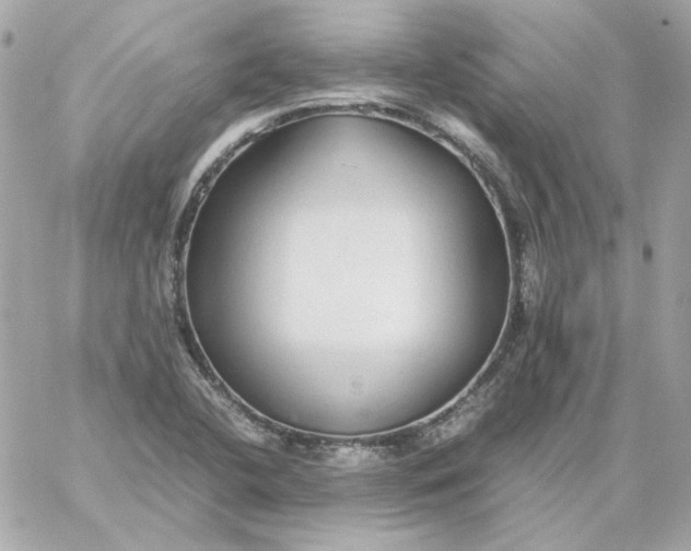 X0000060261412200511112009