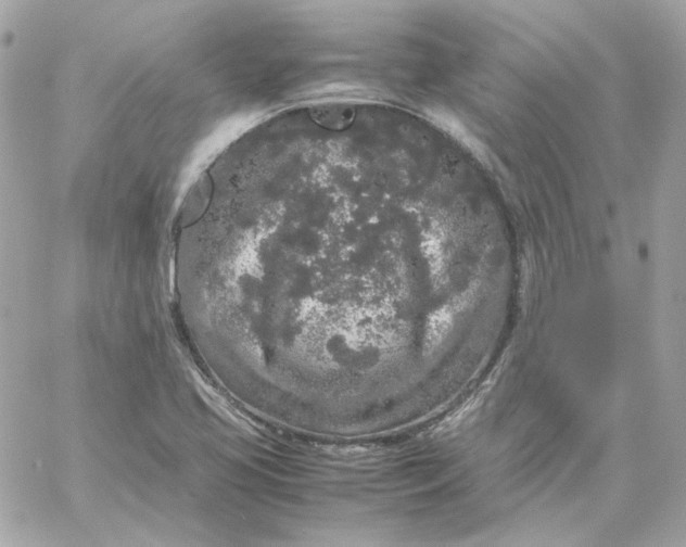 X0000060261413200511112009