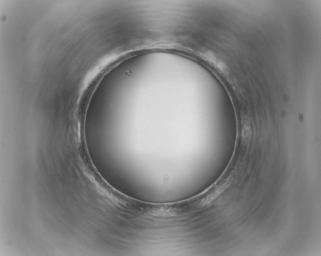 X0000060261414200511112009