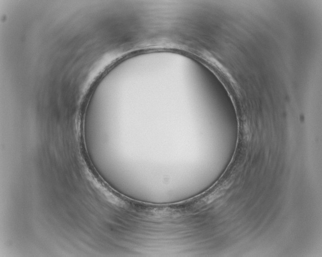 X0000060261416200511112009