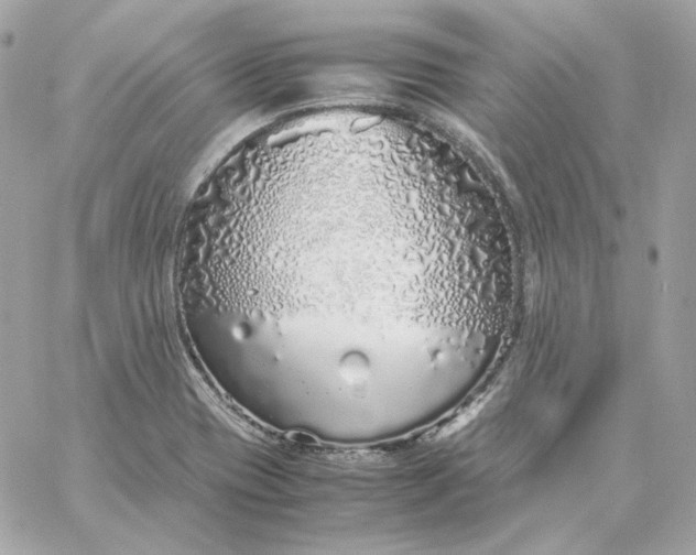 X0000060261417200511112009