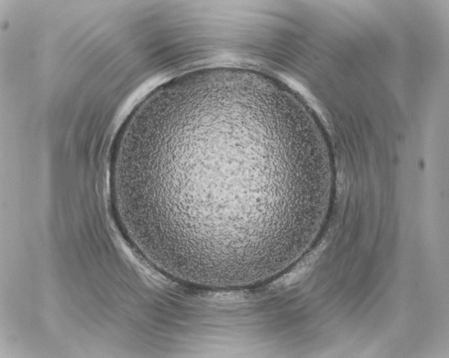 X0000060261418200511112009