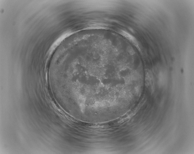 X0000060261419200511112009