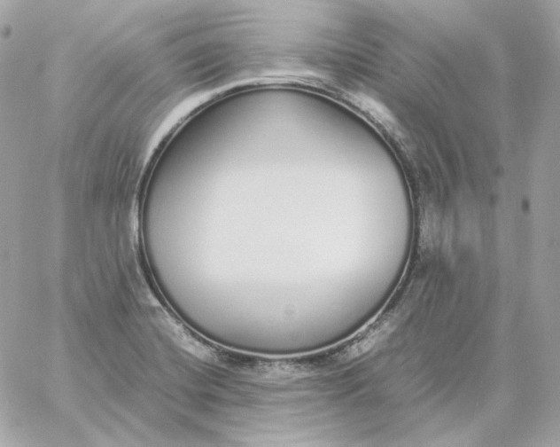 X0000060261420200511112009