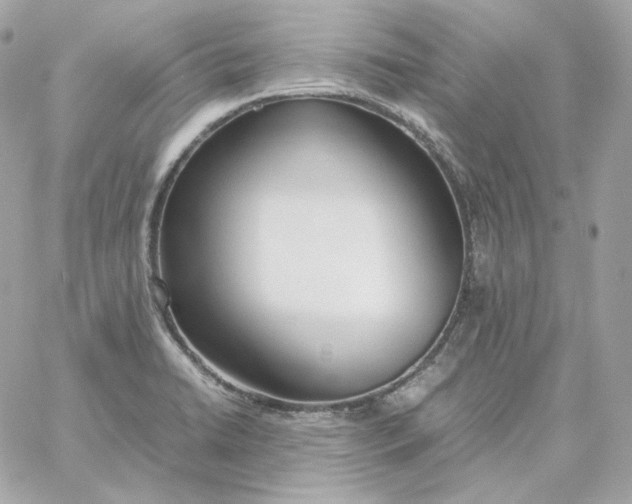 X0000060261422200511112009