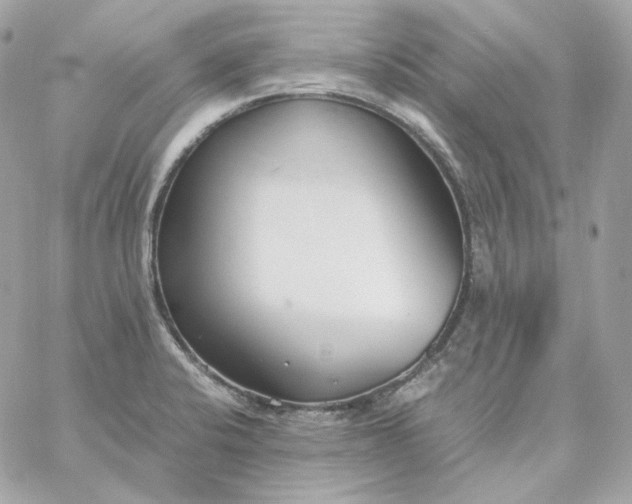 X0000060261424200511112009