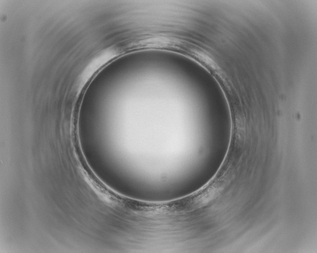 X0000060261426200511112009