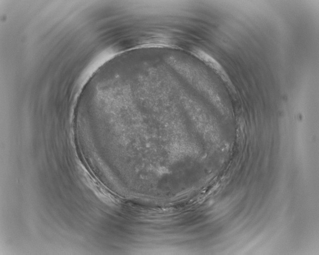 X0000060261427200511112009