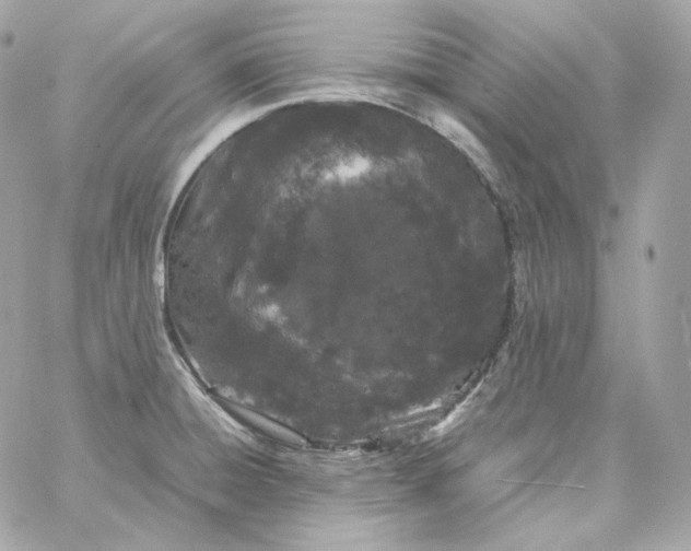 X0000060261428200511112009