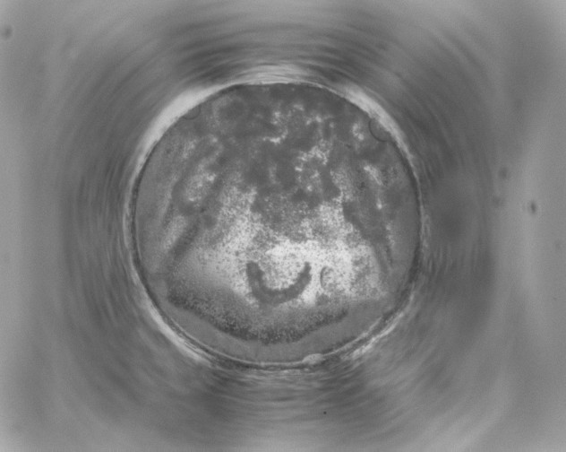 X0000060261429200511112009