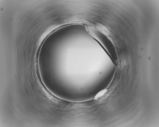 X0000060261430200511112009