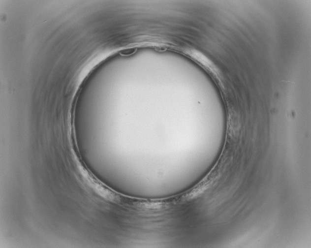 X0000060261431200511112009