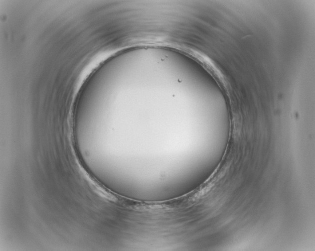 X0000060261432200511112009