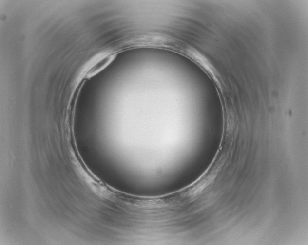 X0000060261434200511112009