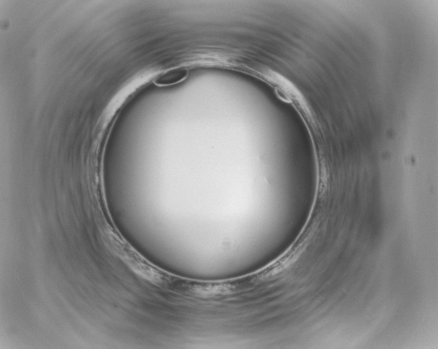 X0000060261435200511112009