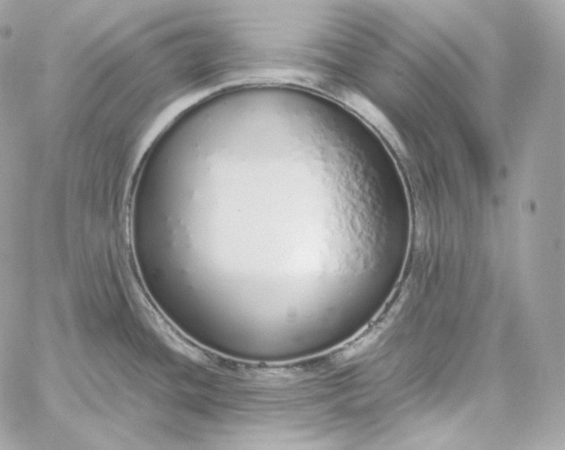 X0000060261436200511112009