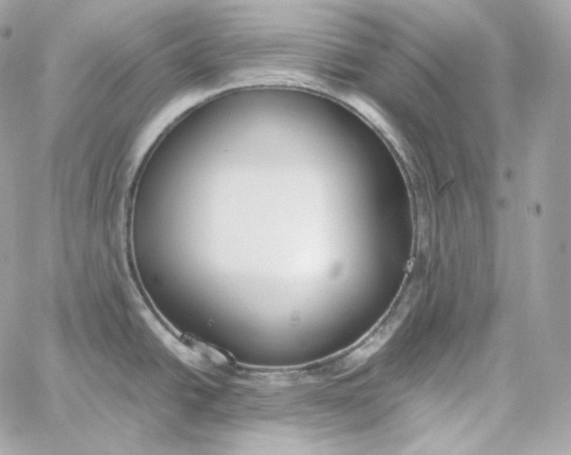 X0000060261438200511112010