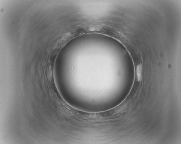 X0000060261443200511112009