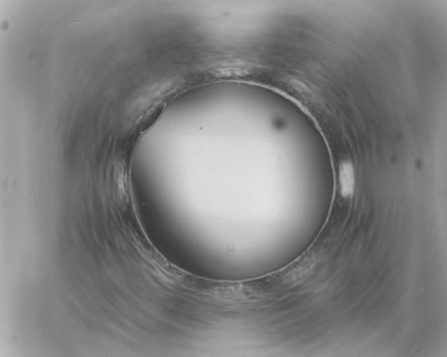 X0000060261444200511112009