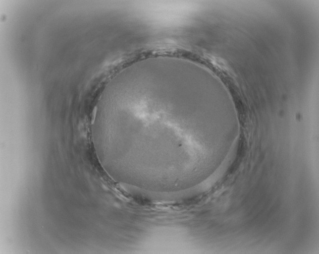 X0000060261445200511112009