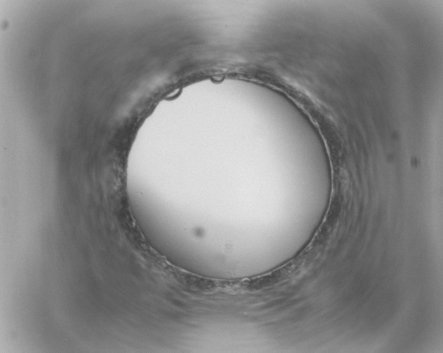 X0000060261447200511112009