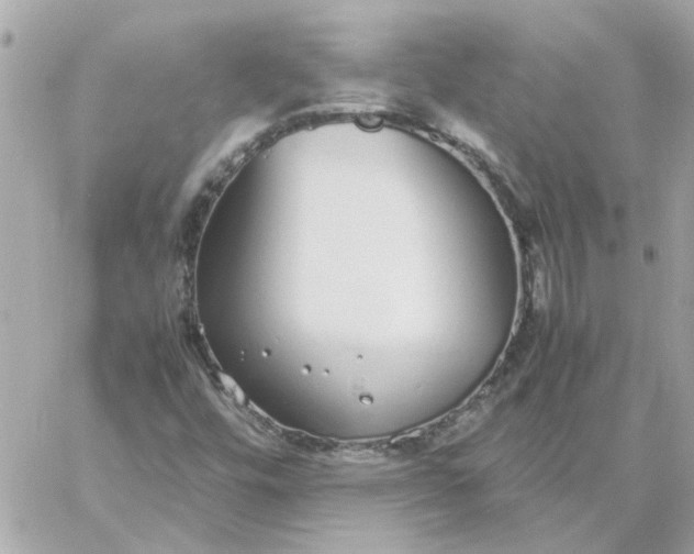 X0000060261448200511112009