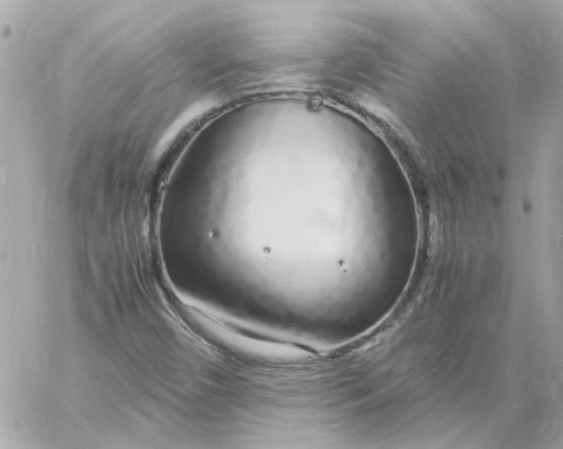 X0000060261450200511112009