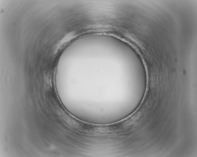 X0000060261451200511112009