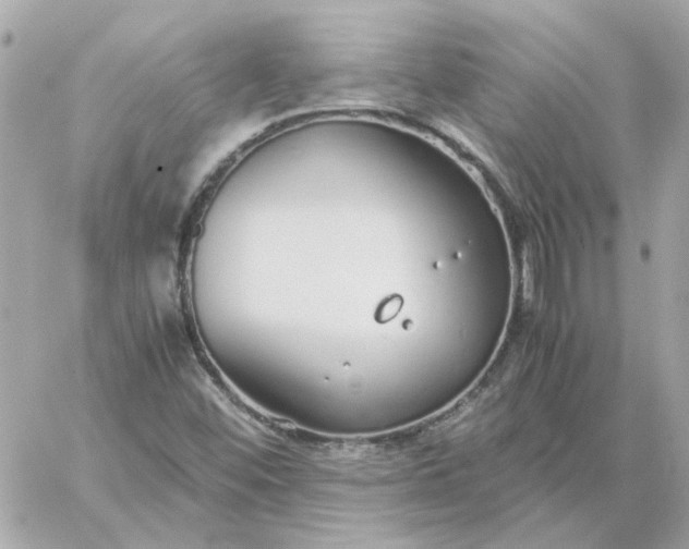 X0000060261452200511112009