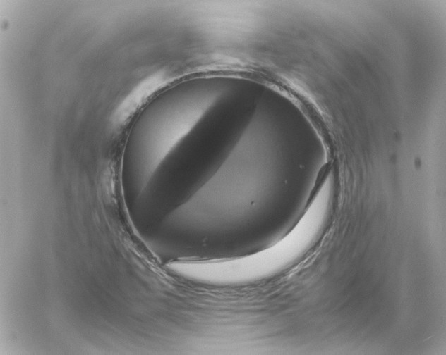 X0000060261455200511112009